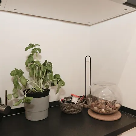 Apartmán 5' To Aquarium - Self Check-in - 1000 Mbps - Gym Janov